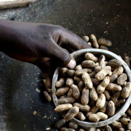 Seeds, tools and a watering can Fighting the food crisis in South Sudan