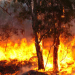 Plan International Australia releases guide to talking to children about bushfires and disasters
