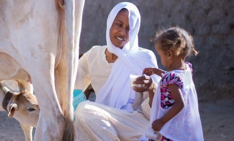 Education after child marriage