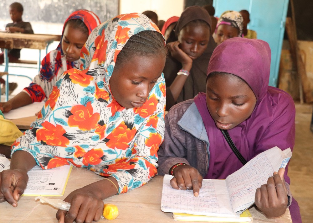 Girls learning at primary school in Diffa region