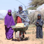 50 NGOs warn of deepening humanitarian crisis in Somalia