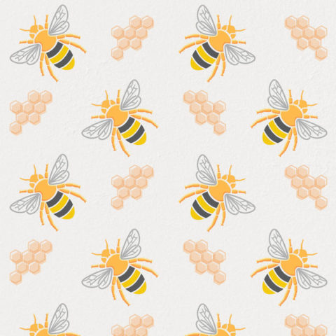 Give a family a bee business
