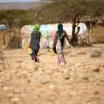 Plan International statement as Somalia nears famine: “It should never have come to this.”