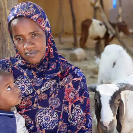 Cash transfers help displaced families in Mali survive the hunger crisis