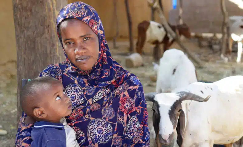 Cash transfers help displaced families in Mali survive the hunger crisis