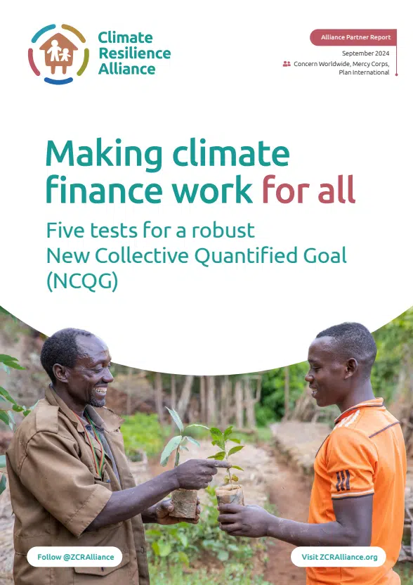 Making Climate Finance Work for All