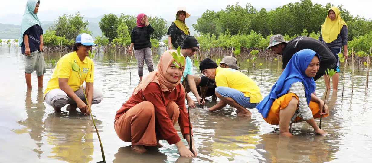 Members of women’s groups and disability organisations are involved in mangrove planting activities conducted by the Government of Sumbawa District. Photo: Yayasan Plan International Indonesia