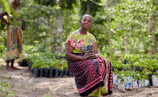 Community leader, Caroline Kiti is writing a new chapter for Kenya’s forests – one seedling at a time. Through tree planting, Caroline is helping rebuild a section of the sacred Mijikenda Kaya Forests in Kenya, with help from Plan International’s Conservation and Sustainable Management of Coastal and Marine Ecosystems (COSME) project. 

As chairperson of a local conservation group, Tumaini (meaning “hope”), Caroline leads efforts to balance preservation with community needs. The group has planted 5,000 indigenous seedlings, including traditional medicinal trees. For Caroline, her other significant achievement is the role she plays in her community in bridging gender divides. While Tumaini started as a women’s conservation group, it has evolved into a community-wide movement.

“We’re the freedom fighters of clean air and good medicine,” Caroline declares, her commitment to Kaya Chonyi unwavering. In her hands, she holds milk bags salvaged from roadsides, recycled into seedling containers to cradle the next generation of trees – a testament to how traditional wisdom and modern conservation can nurture both forest and community.