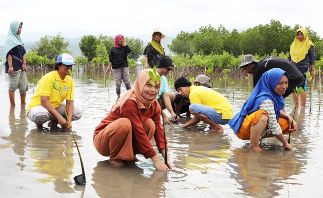 Members of women’s groups and disability organisations are involved in mangrove planting activities conducted by the Government of Sumbawa District. Photo: Yayasan Plan International Indonesia